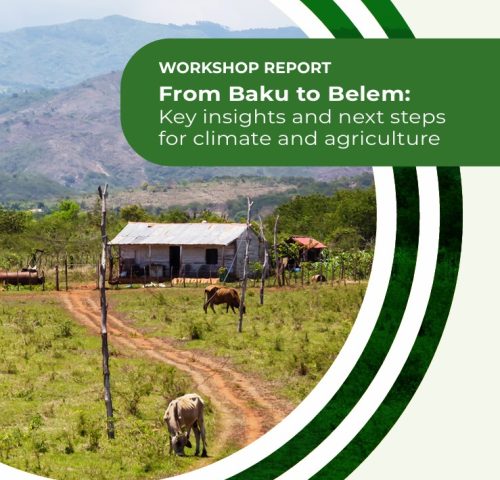"EAFF Participates in Global Workshop: From Baku to Belem – Key Insights and Next Steps for Climate and Agriculture"